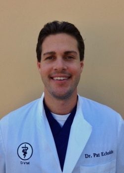 My Vet's the Best finalist Dr. Pat Echolds of Rancho Niguel Animal Hospital in Laguna Niguel, California.